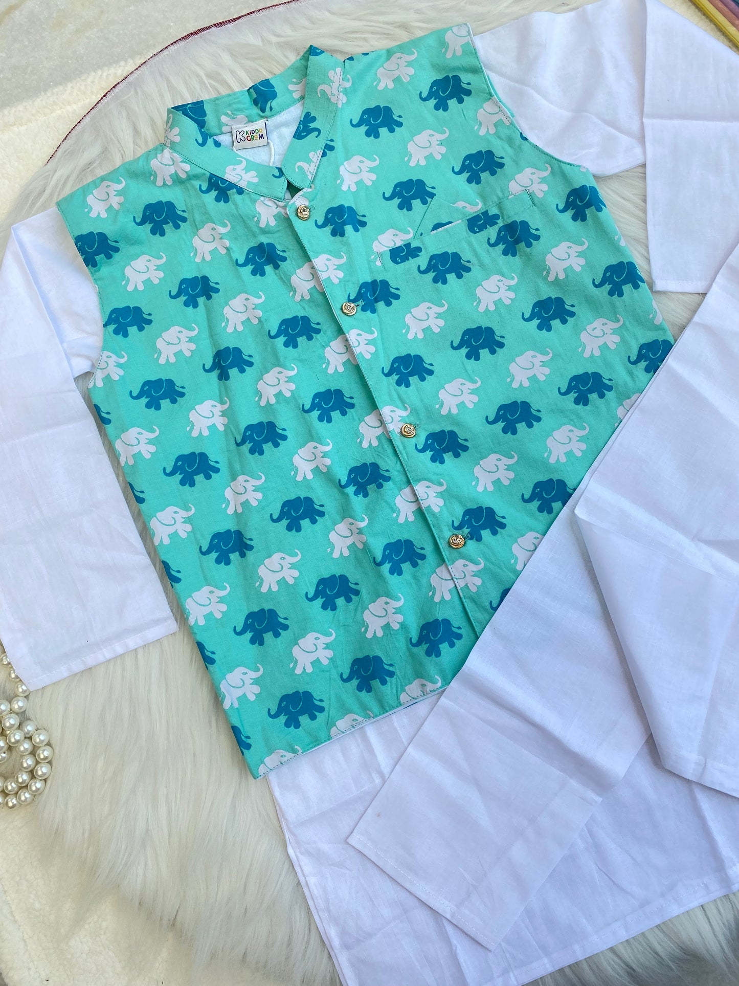 Aqua Regal Ethnic Wear