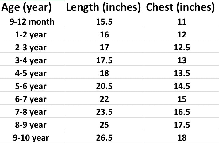 Dino Adventure shirt NAS876