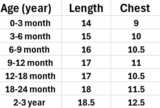 Little Miss Sunshine NAS08