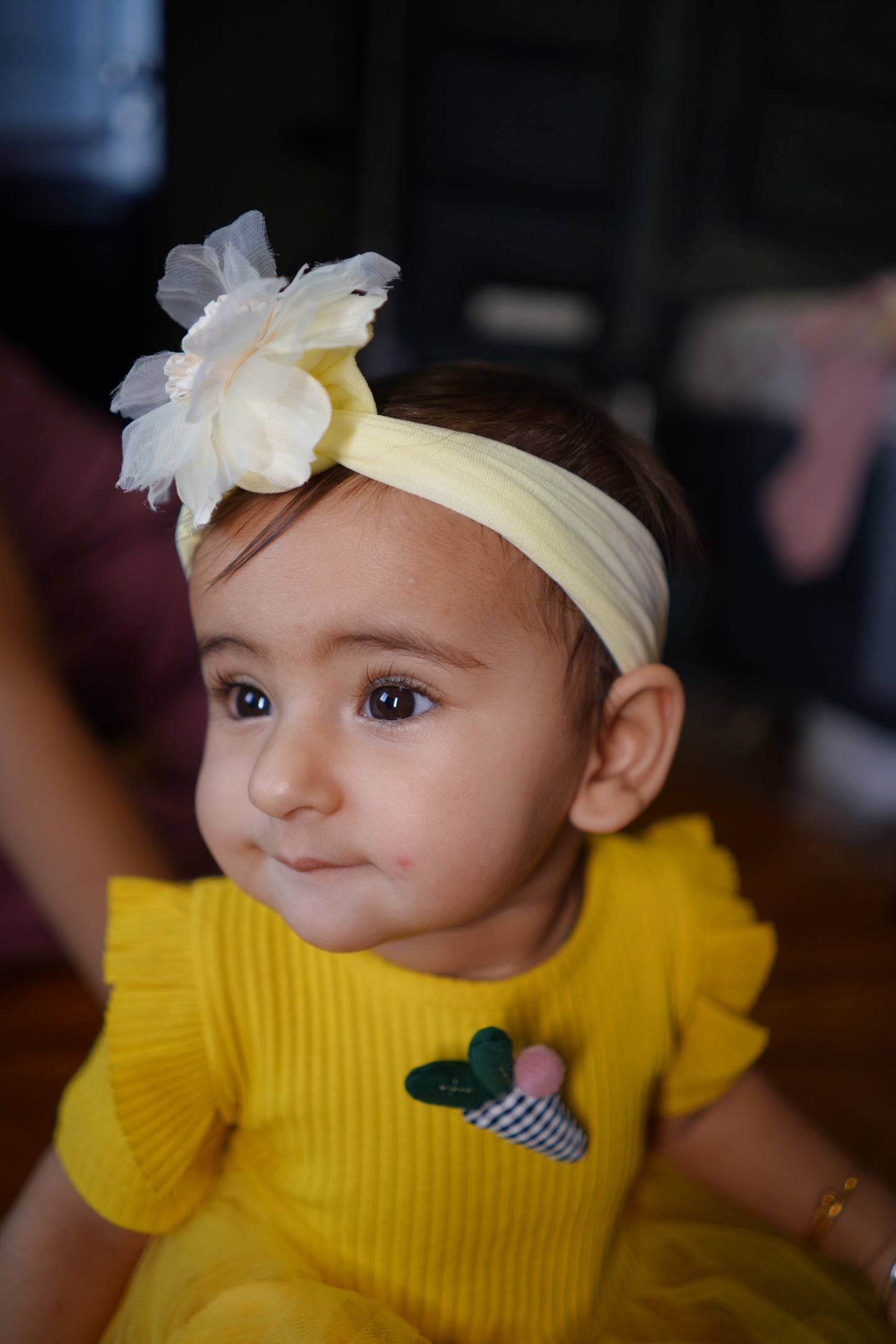 Lemon Bow Magic NAS93