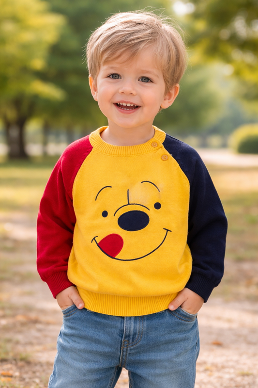 Rainbow Stripe Knit NAS238