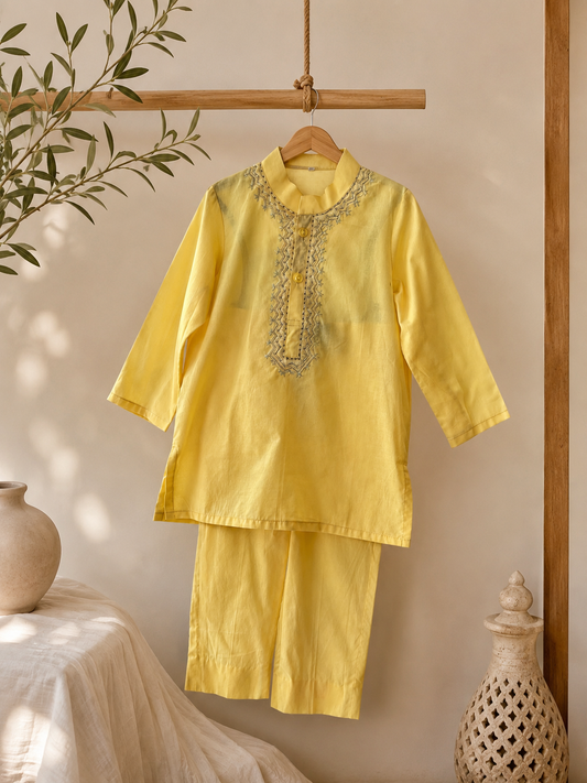 The Basant Edit kurta set NAS1736