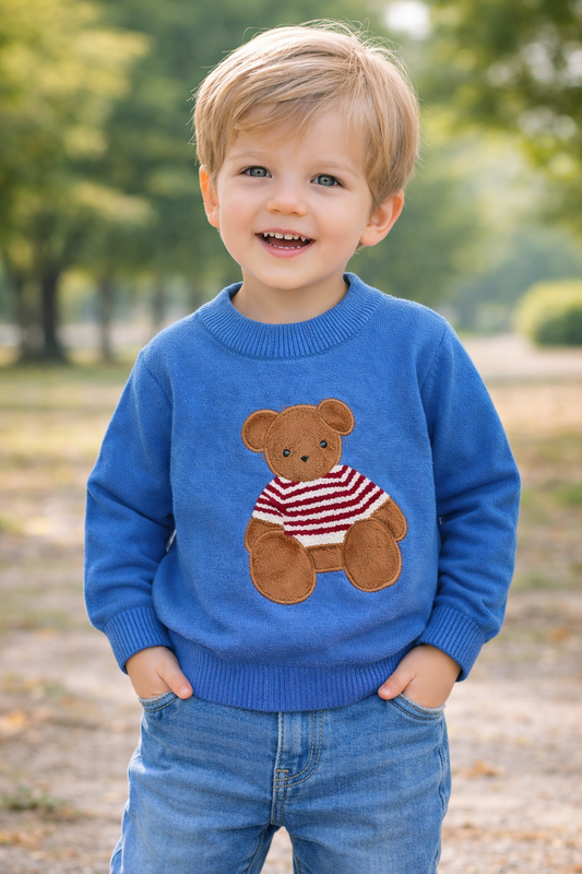 Fuzzy Bear Sweater NAS241